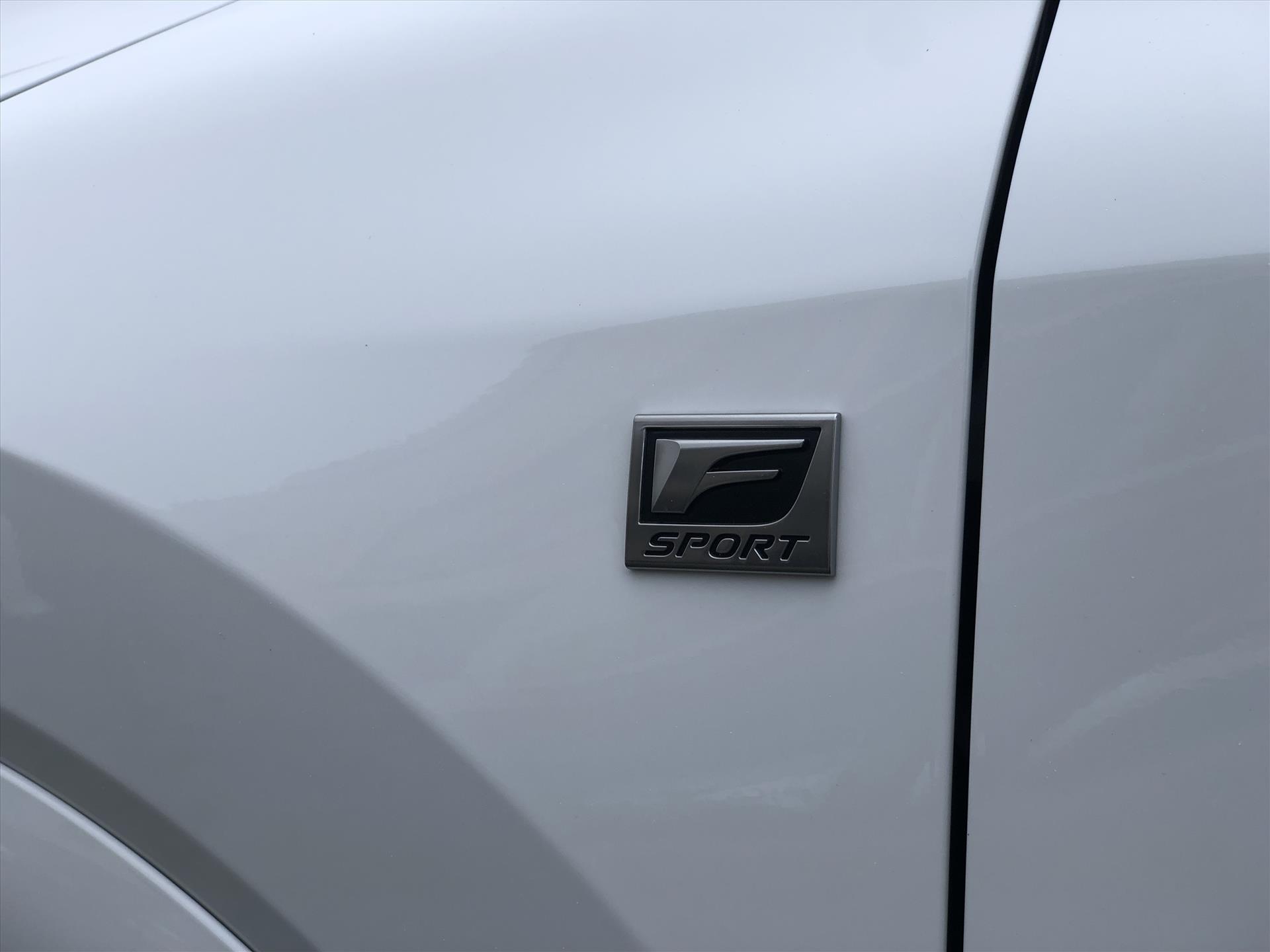 41796421-12.jpg