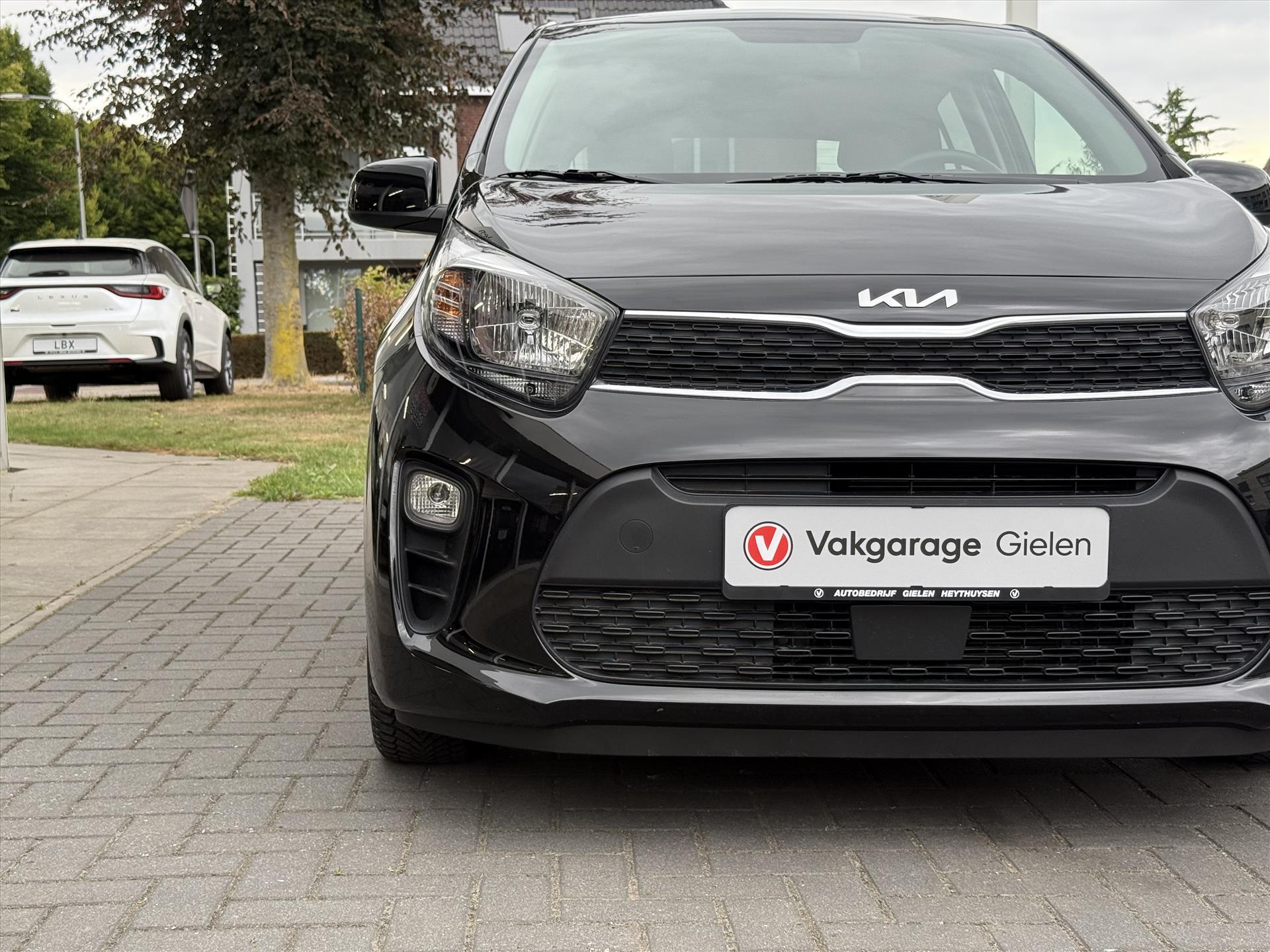 Kia Picanto 1.0 DPi DynamicLine | Stoel + Stuurverwarming, Apple CarPlay/Android Auto, Lichtmetalen velgen, Parkeercamera, Privacy glass 47117549-4.jpg | Autobedrijf Gielen