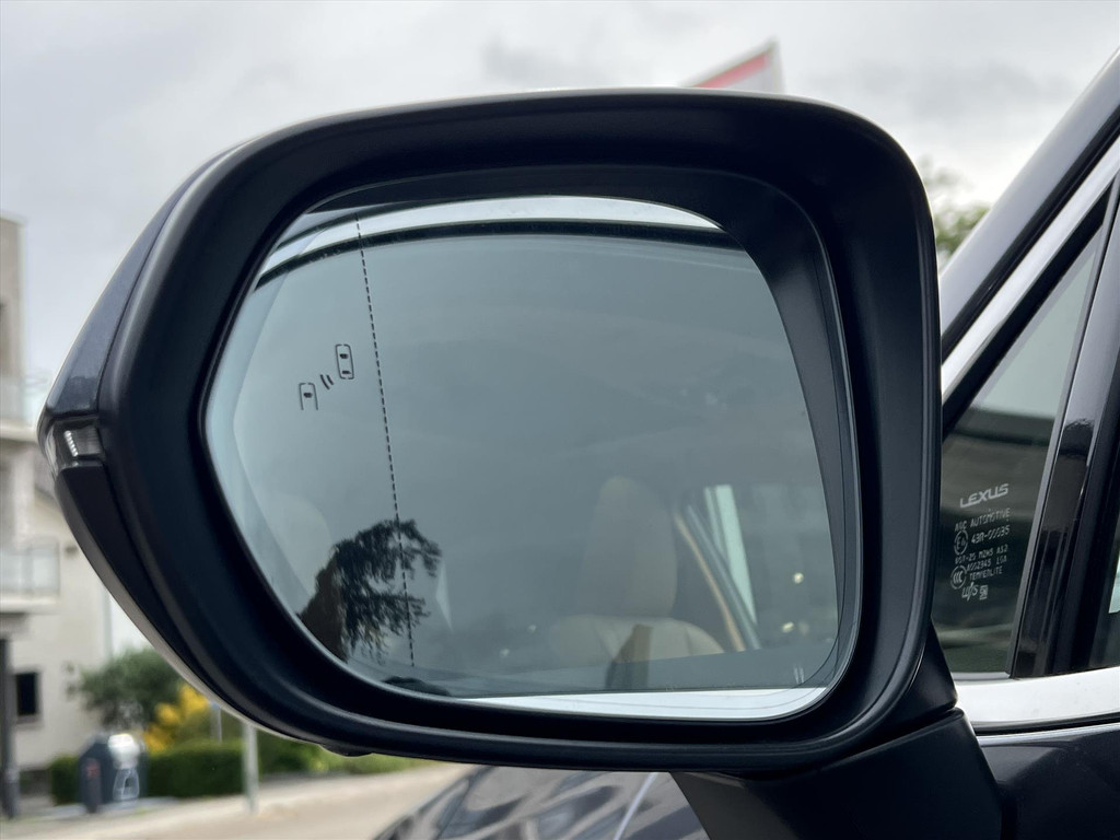 Lexus NX 450h+ Executive Line | Panoramadak, Head up display, 18 inch, Leer, Geheugenfunctie, 360 camera, Stoelventilatie 52650748-2.jpg | Autobedrijf Gielen