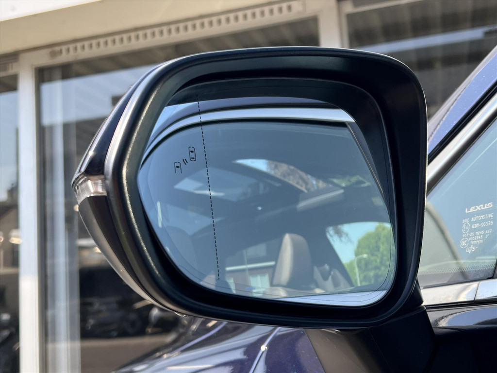 Lexus RX 450h AWD President Line | Panoramadak, Mark Levinson, Head up display, Geheugenfunctie, 360 Camera, LED 53206633-4.jpg | Autobedrijf Gielen