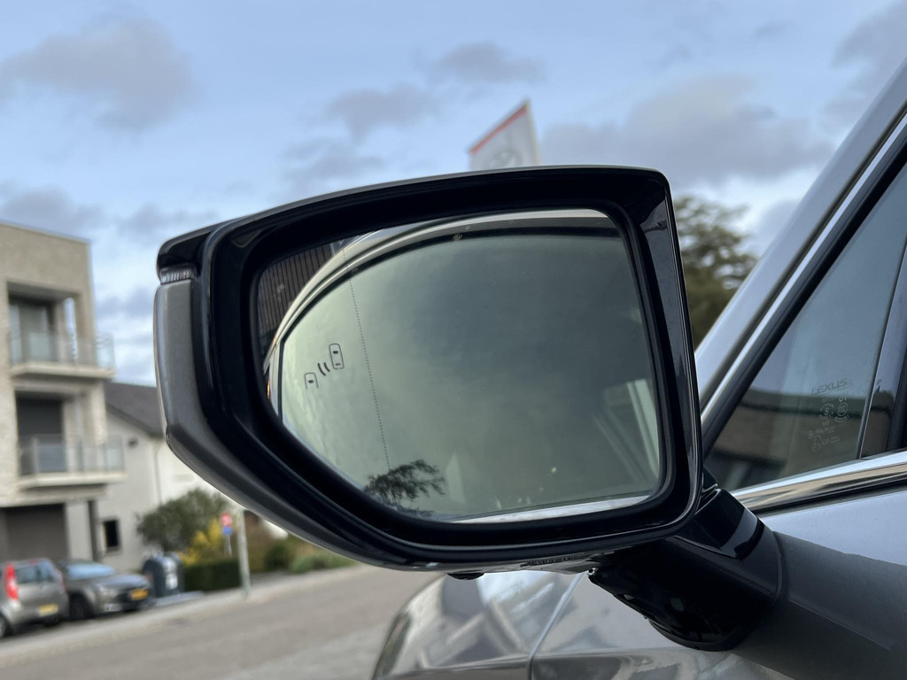 Lexus UX 250h Executive Line President Pack 57259145-1.jpg | Autobedrijf Gielen